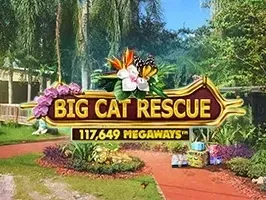 Big Cat Rescue Megaways DNT screenshot